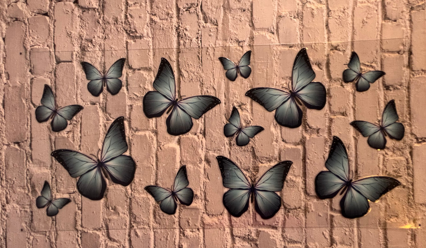 Blue Butterflies