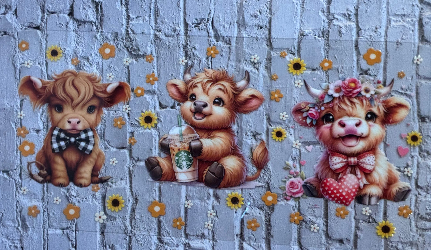 Daisy cow