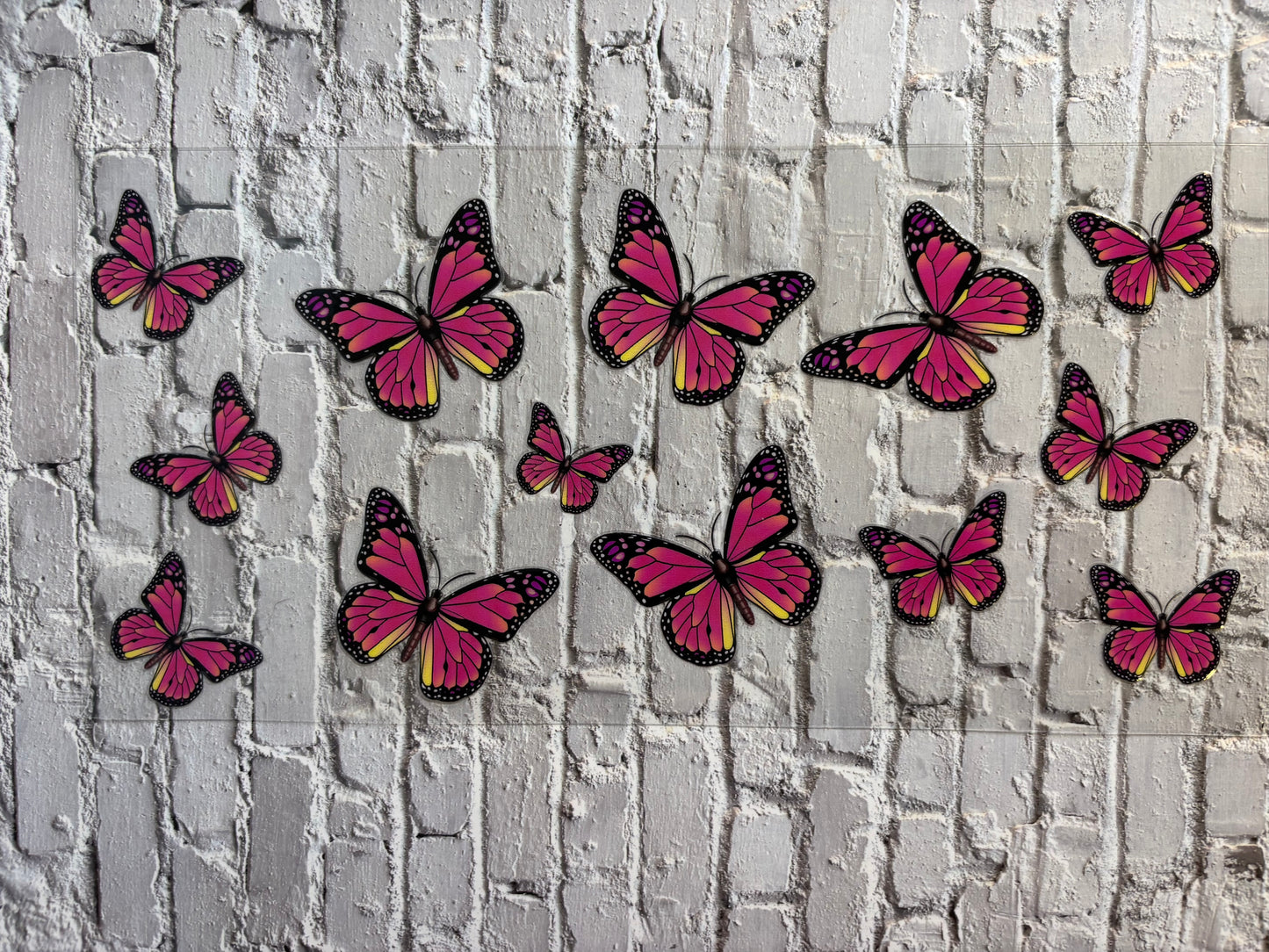 Pink Butterfly