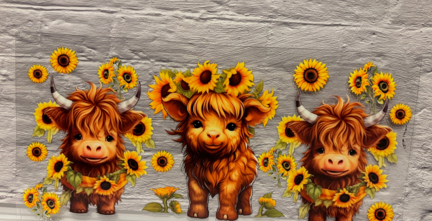 SunFlower Cows
