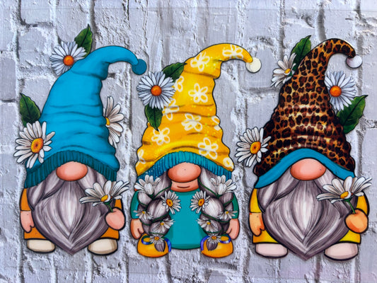 Daisy Gnomes