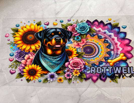 Rottweiler