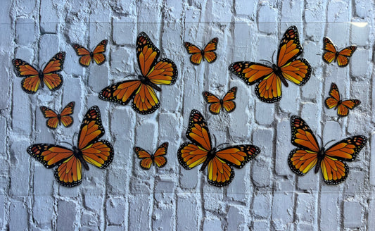 Orange Butterfly’s