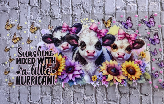 Sunshine Mix with a Little Hurricane