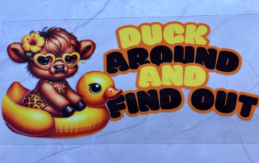 Duck Around and find out